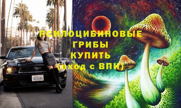 стафф Бронницы