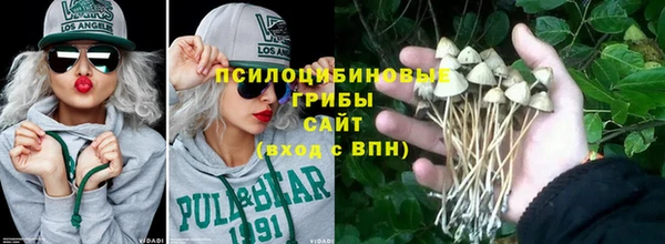 стафф Бронницы